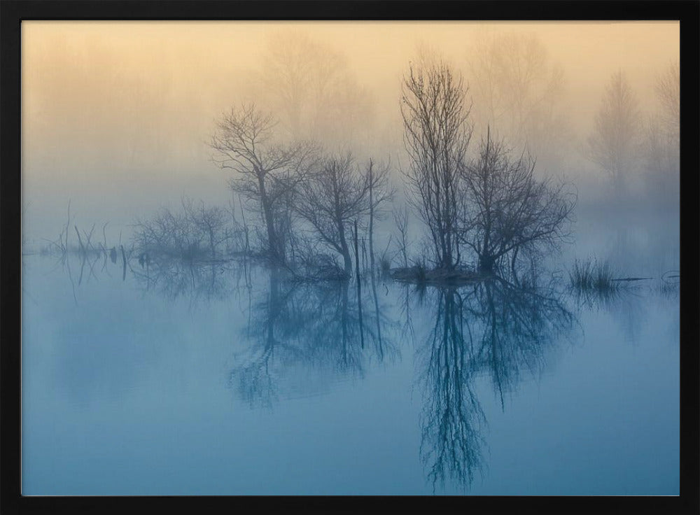 Morgenrefleksion | Plakater - Kunsttryk