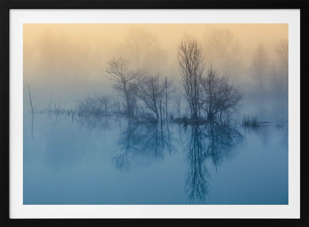 Morgenrefleksion | Plakater - Kunsttryk