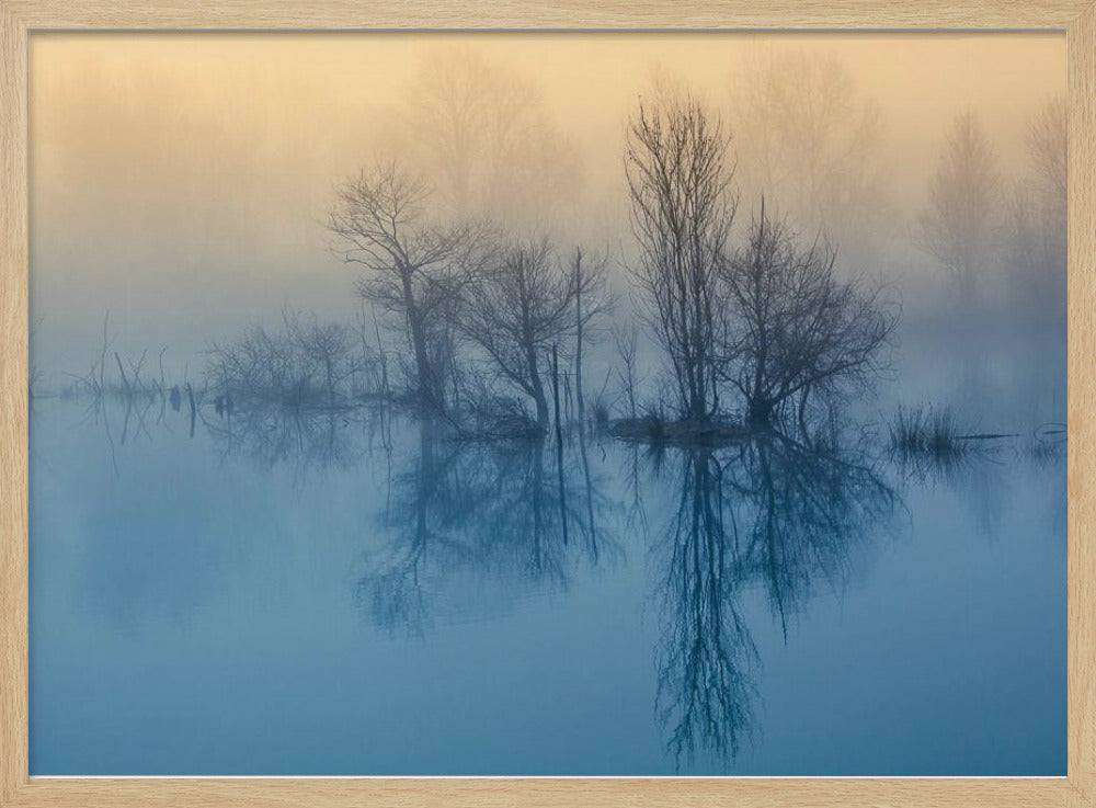 Morgenrefleksion | Plakater - Kunsttryk