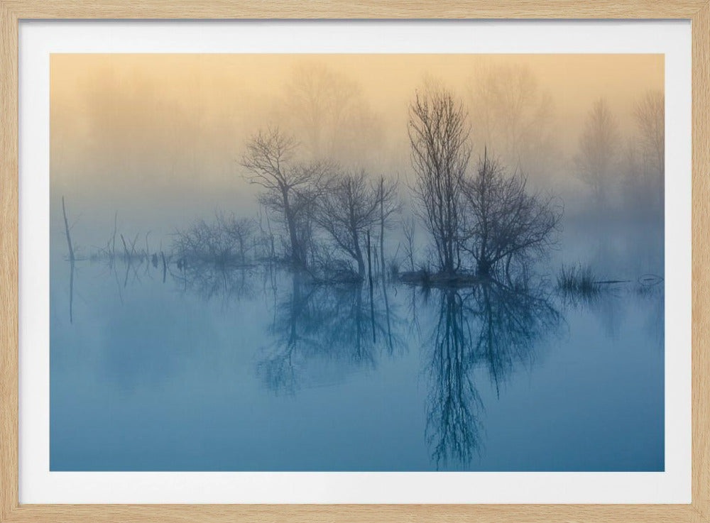 Morgenrefleksion | Plakater - Kunsttryk