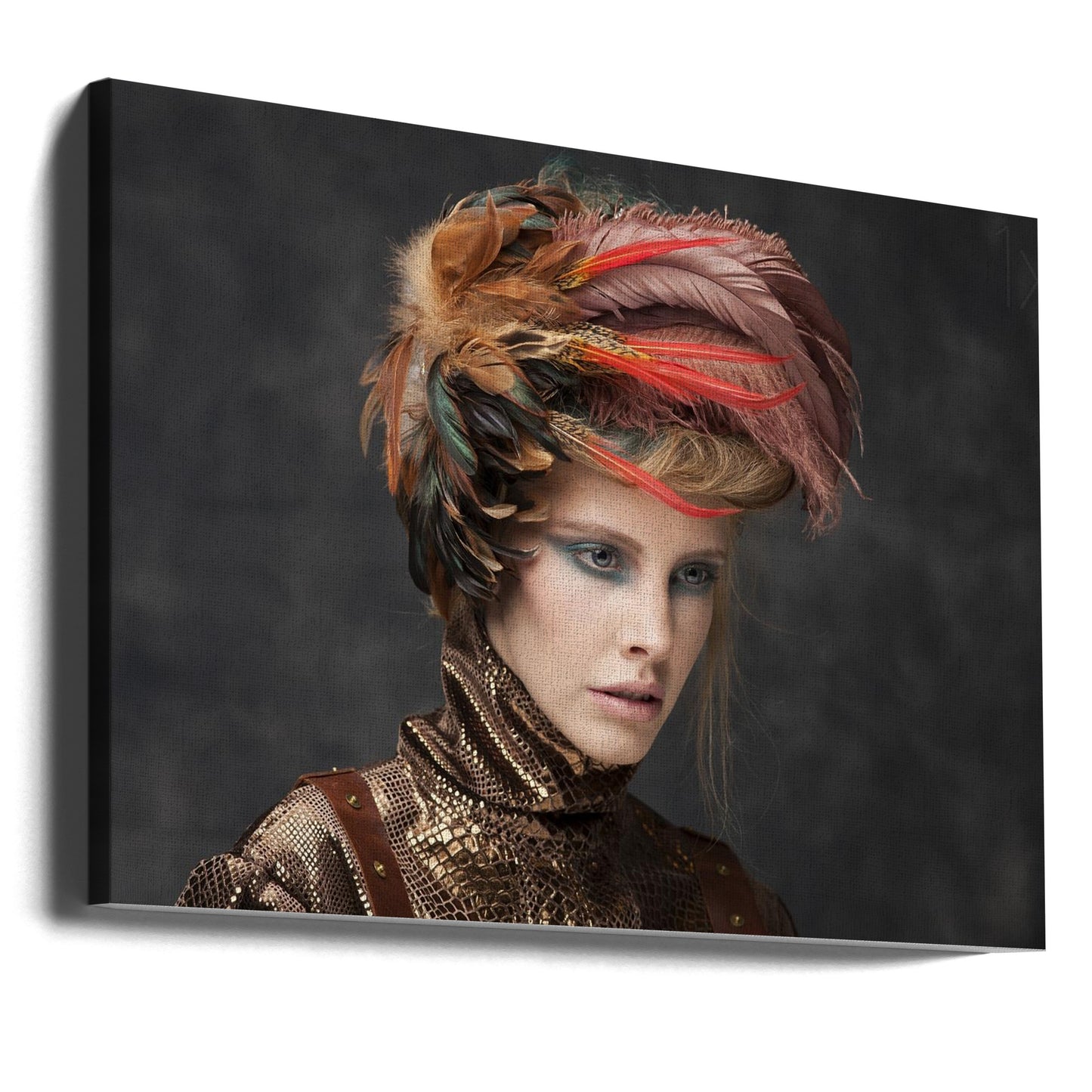 Feathers | Canvas