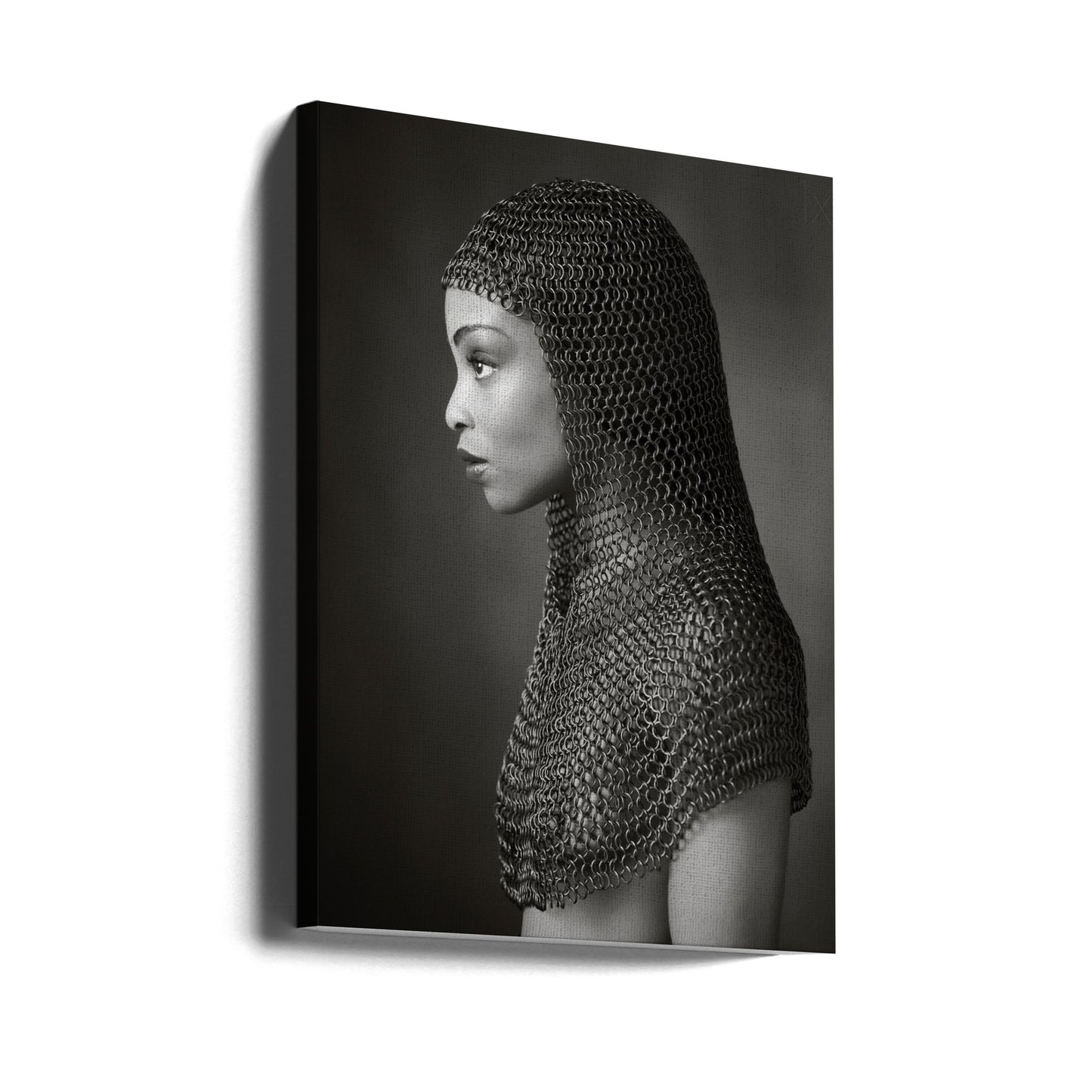 Lady Chainmail | Stampe su Tela