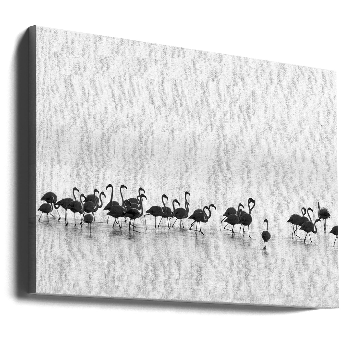 Flamingoja | Canvastaulut