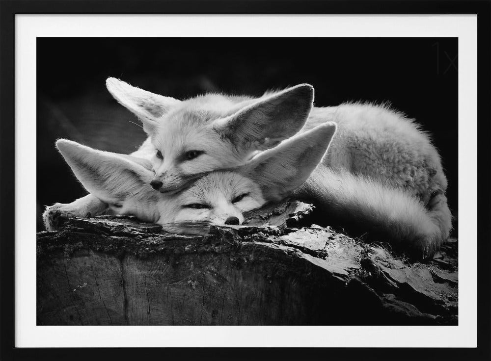 Le couple heureux | Posters - Affiche Artistique