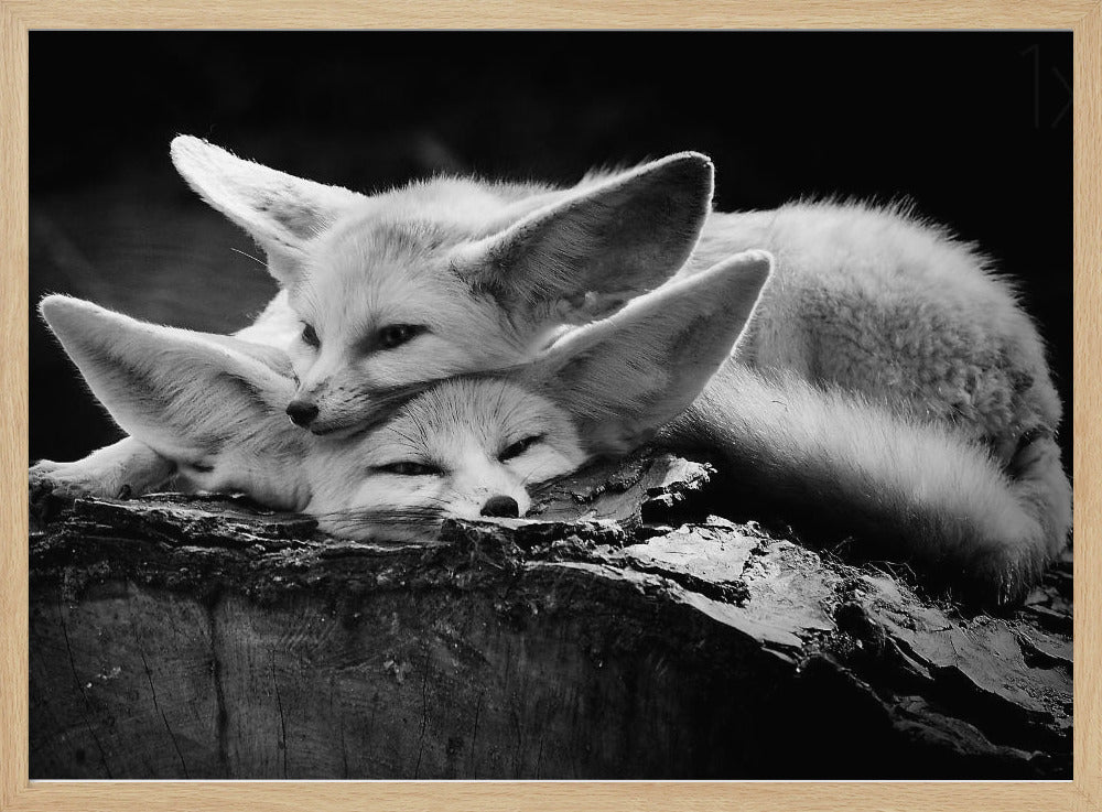 Le couple heureux | Posters - Affiche Artistique