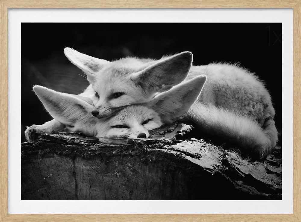Le couple heureux | Posters - Affiche Artistique