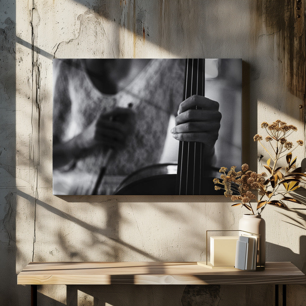 pause for celloen | Lerretsbilder