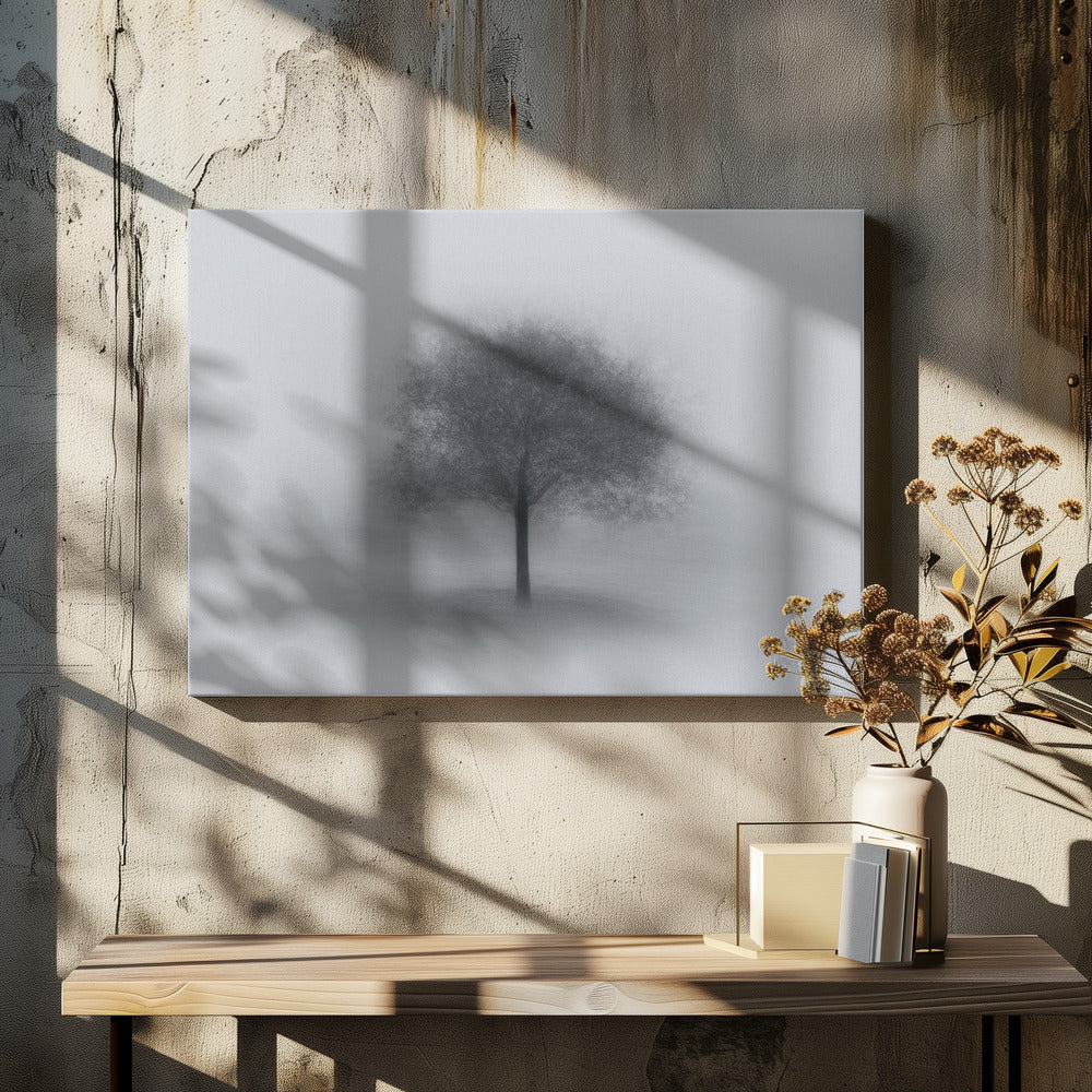 Tree in Fog | Canvas