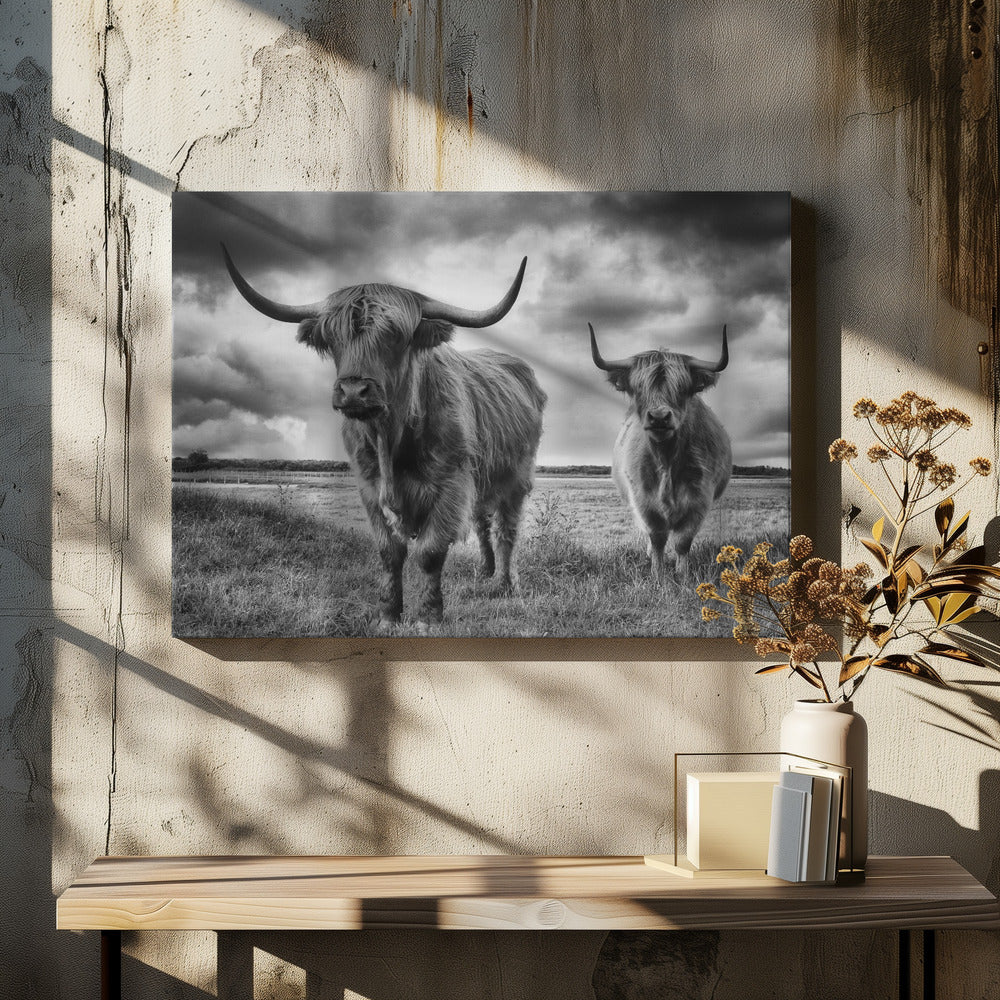 Hautes Terres | Tableaux sur Toile