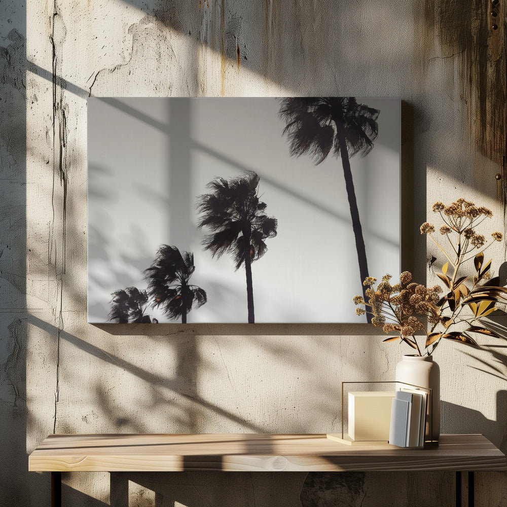 Palm_004 | Canvastaulut