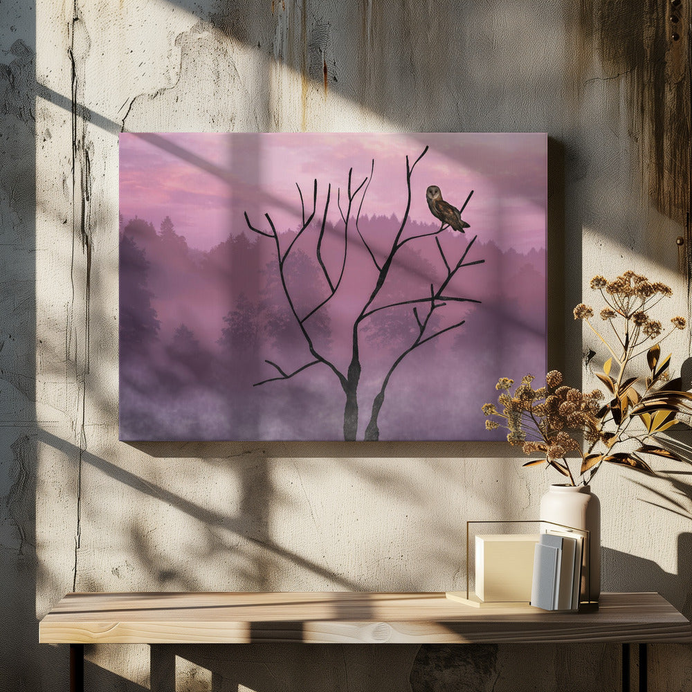 Rosa himmel på morgonen | Canvas