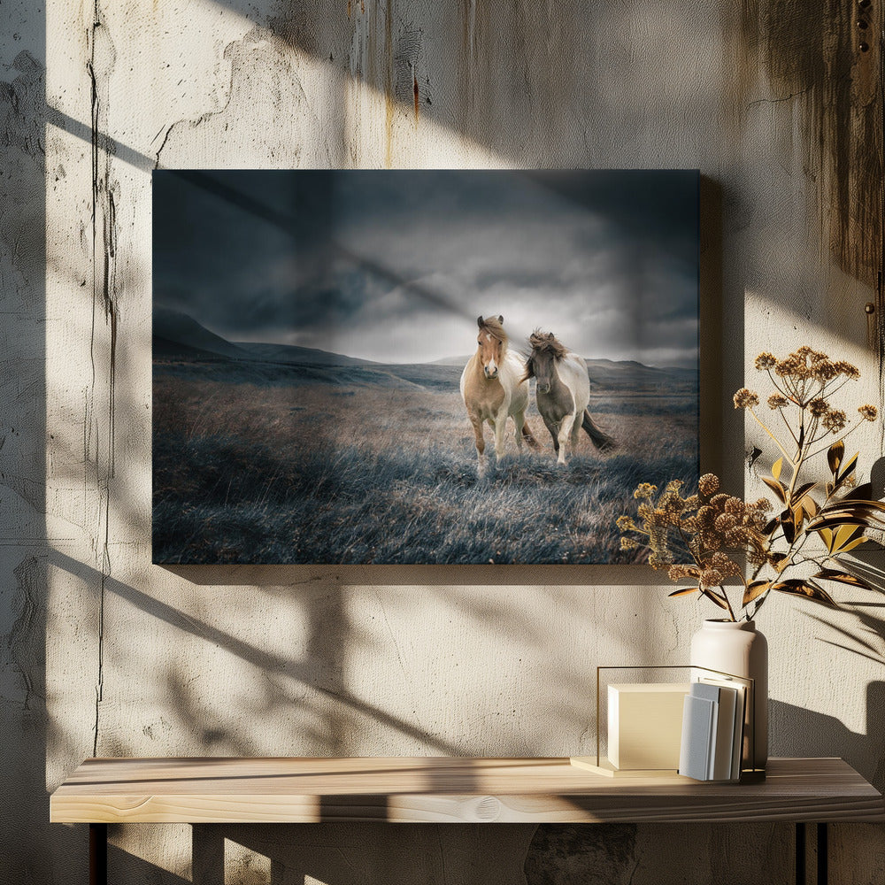 The brothers | Canvas