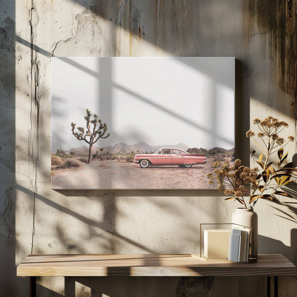 In der Wüste | Leinwand-Bilder