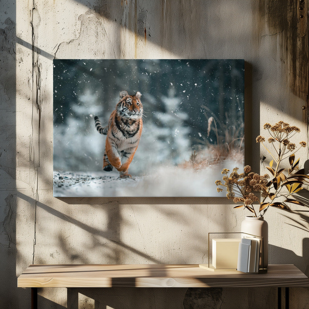 The Siberian tiger | Canvas