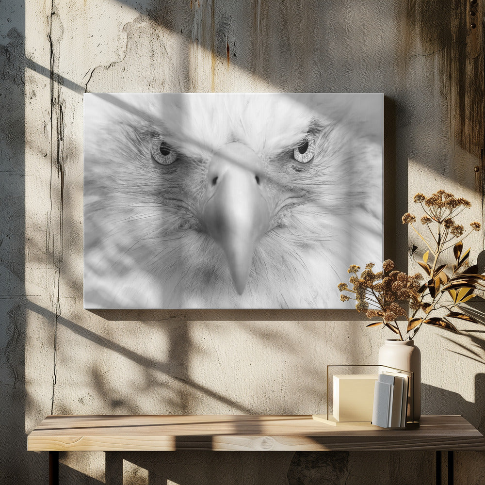 Mördarögon | Canvas