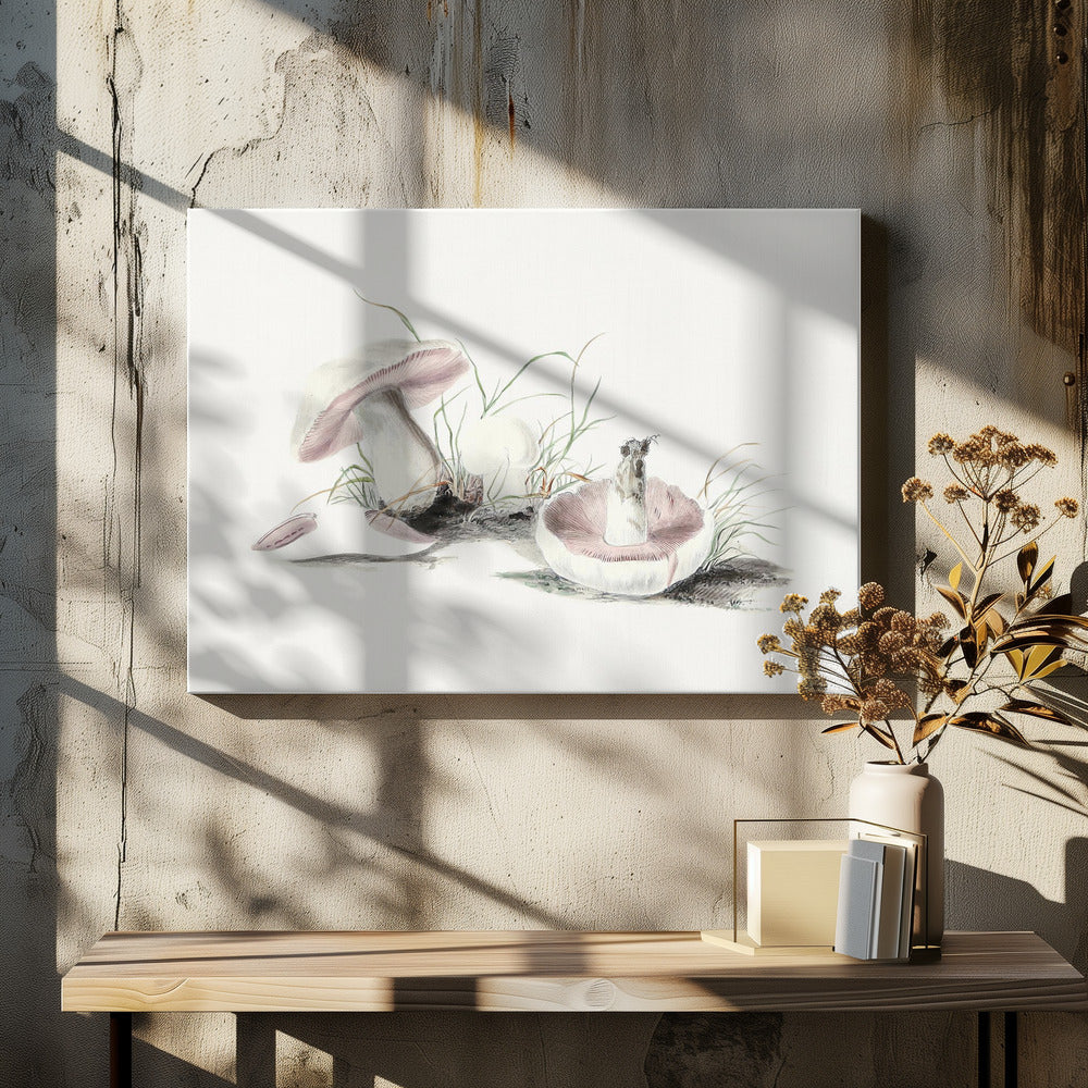 Handritad fältsvamp | Canvas