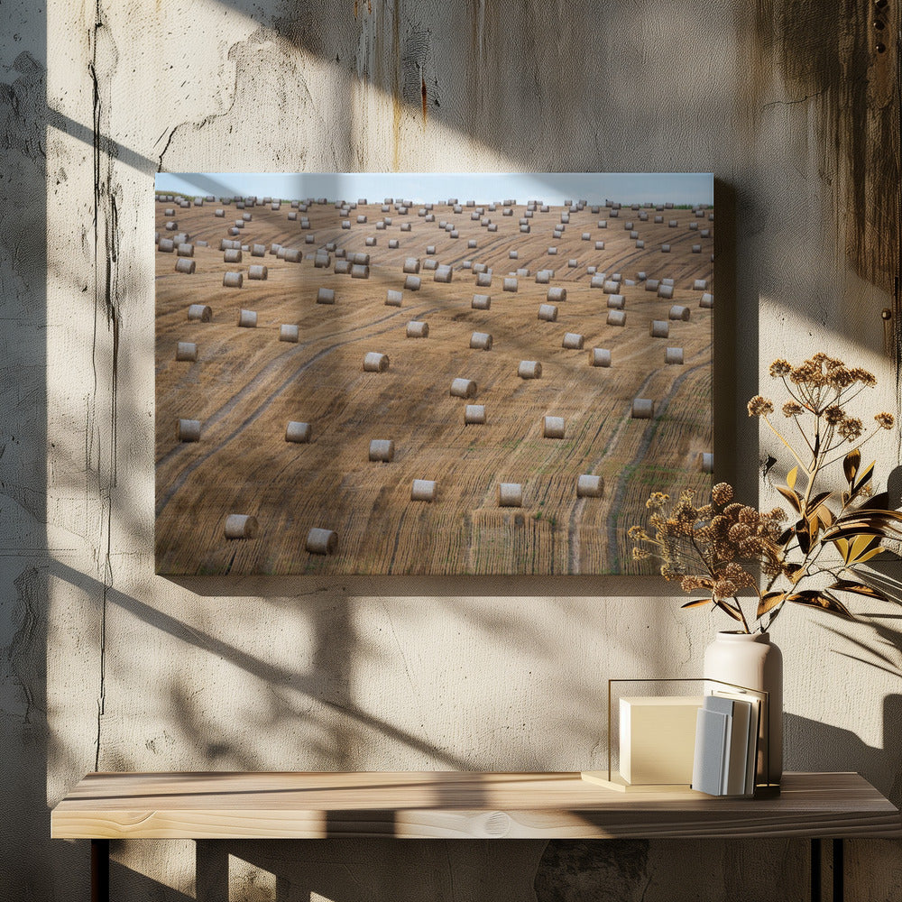72 | Leinwand-Bilder
