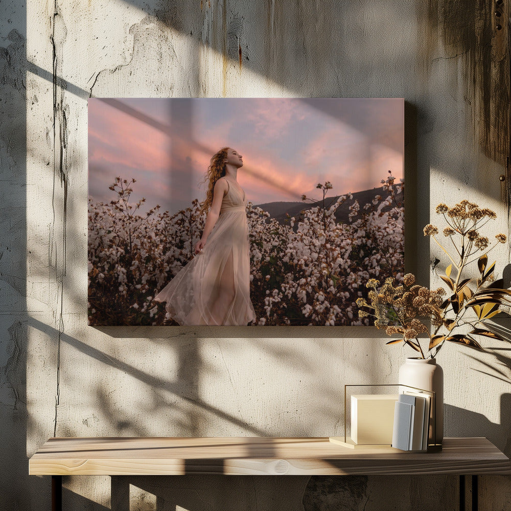 Coucher de soleil dans le champ de coton | Tableaux sur Toile