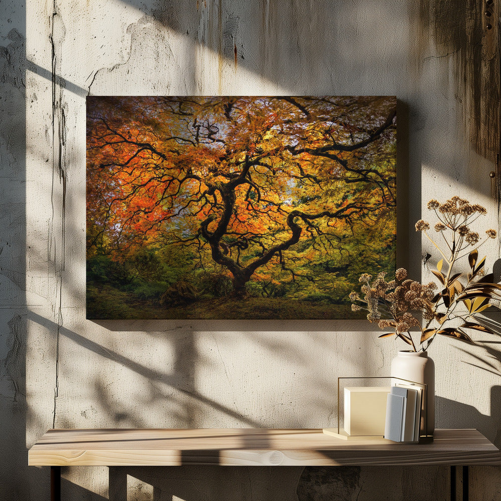 Lönnträdet | Canvas
