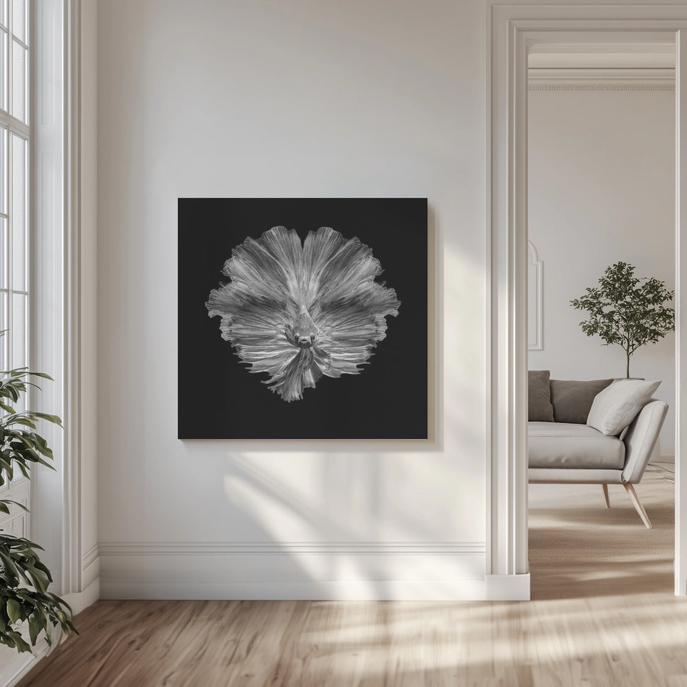 The Flower of tail | Canvas