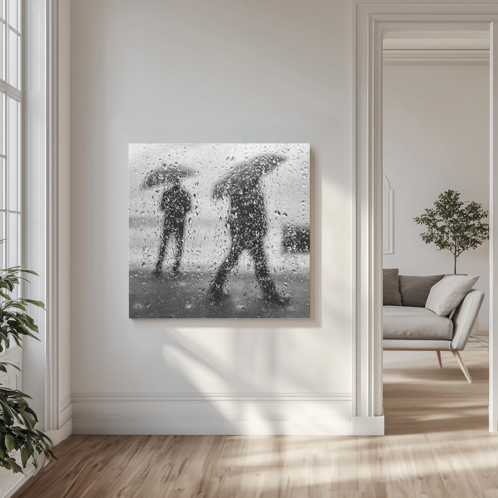 * | Leinwand-Bilder