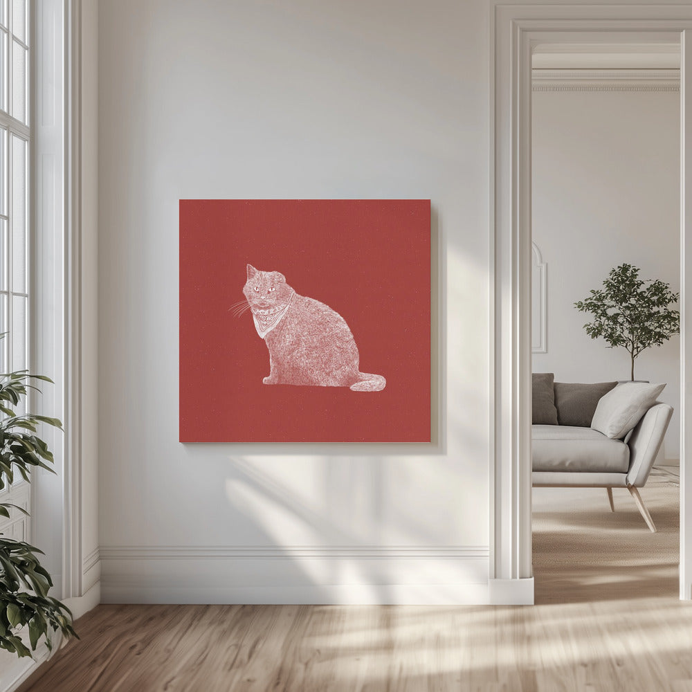 Knallharte Banditenkatze | Leinwand-Bilder