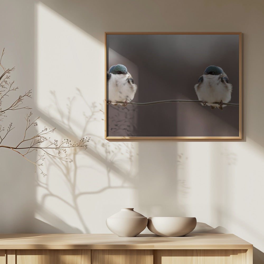 Pájaros en un alambre | Posters - Impresiones de Arte
