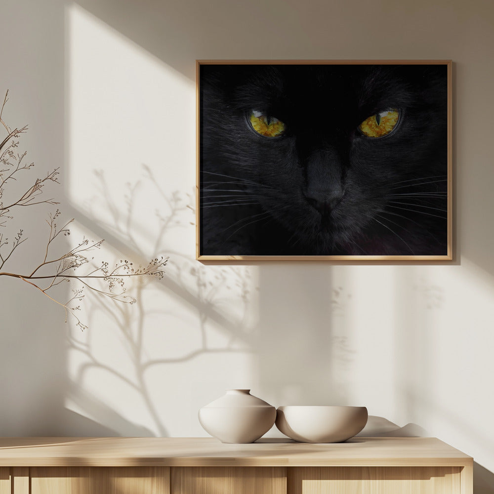 Nattens hypnotisör | Poster