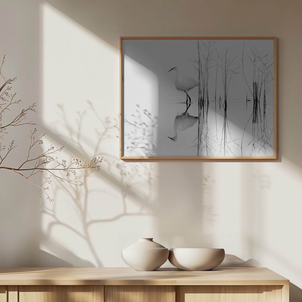 blanco | Posters - Impresiones de Arte