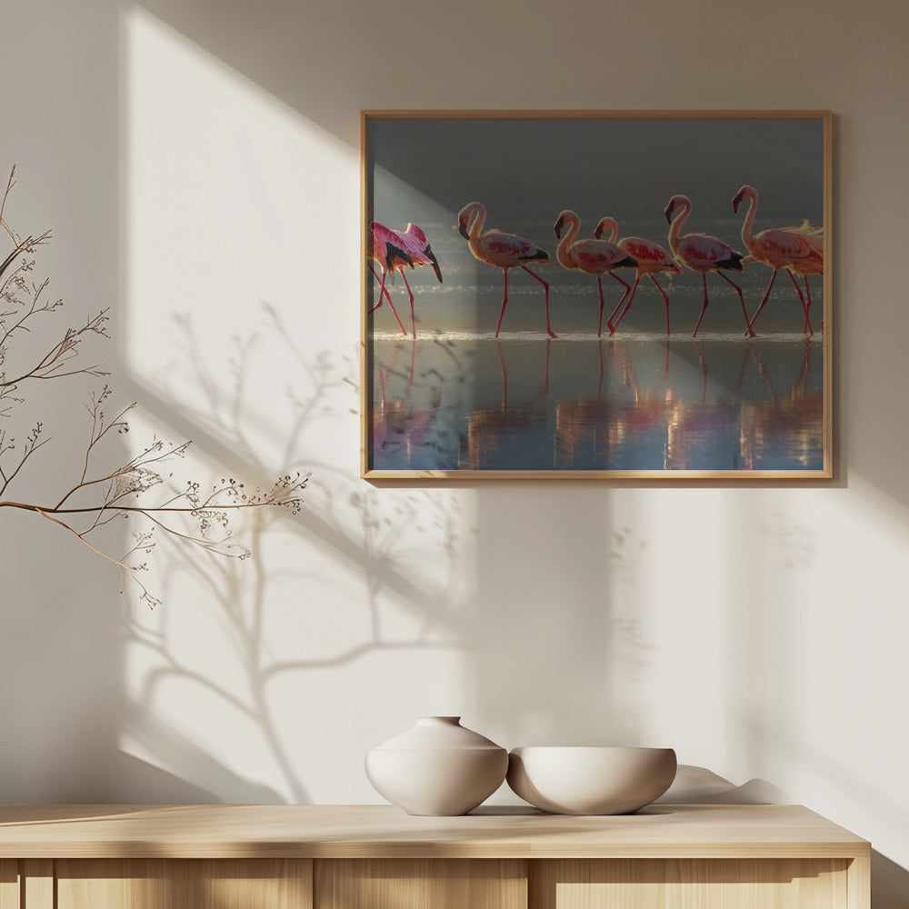 Flamingo | Poster - Kunstdruck