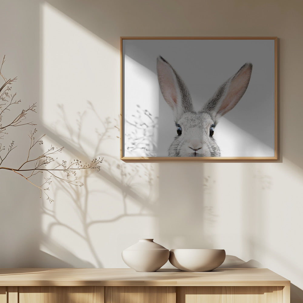 Peeking Bunny | Poster