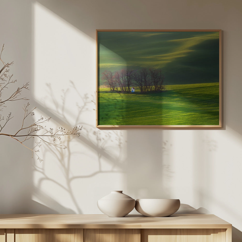 Felder... | Poster - Kunstdruck