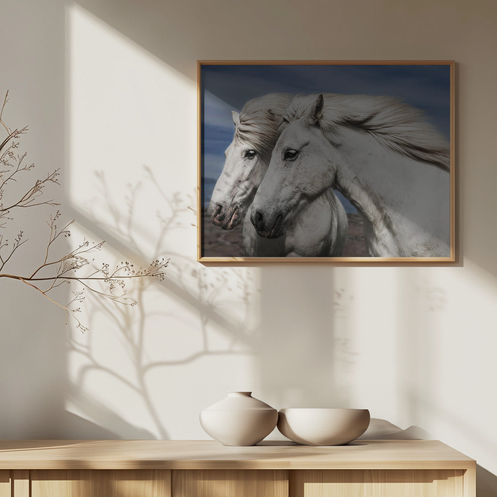 Blæser | Plakater - Kunsttryk