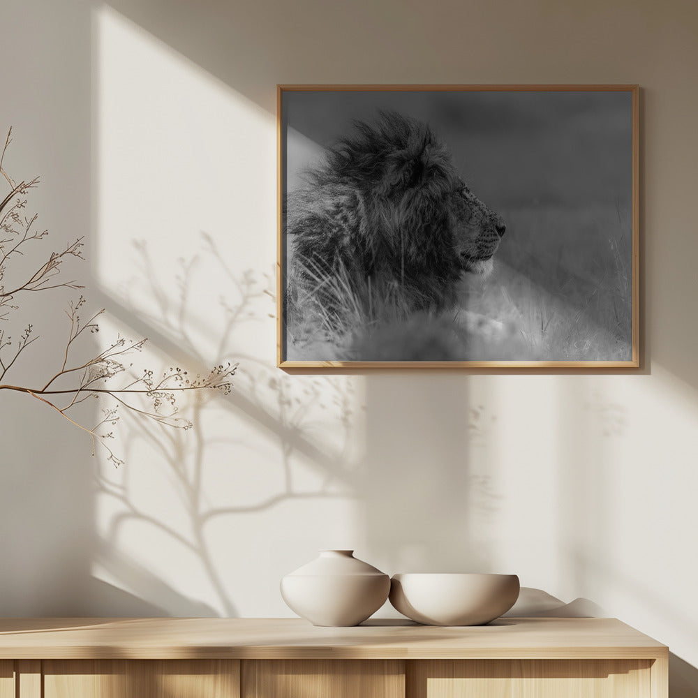 Kongen er alene | Plakater - Kunsttryk