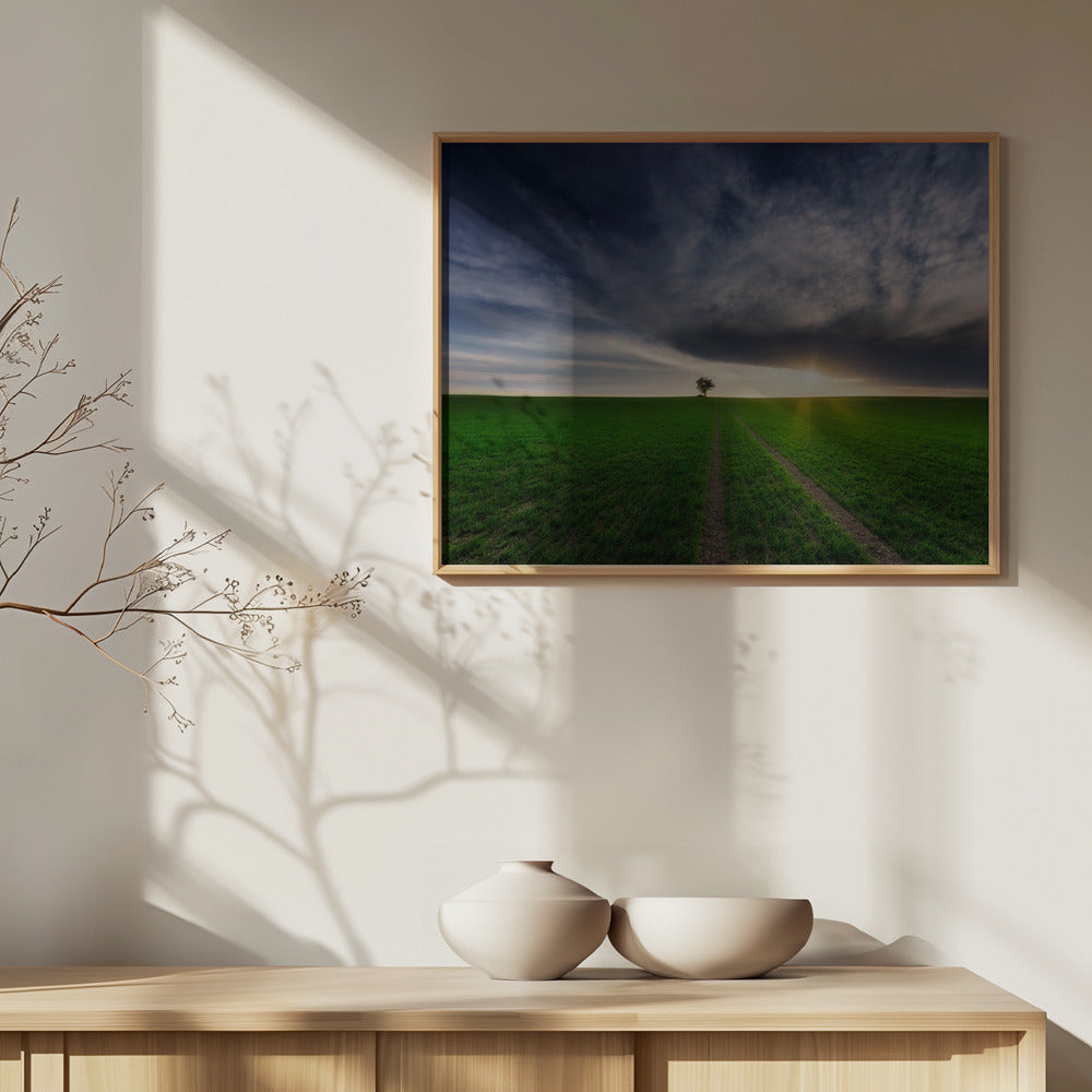 enspænder i solen | Plakater - Kunsttryk