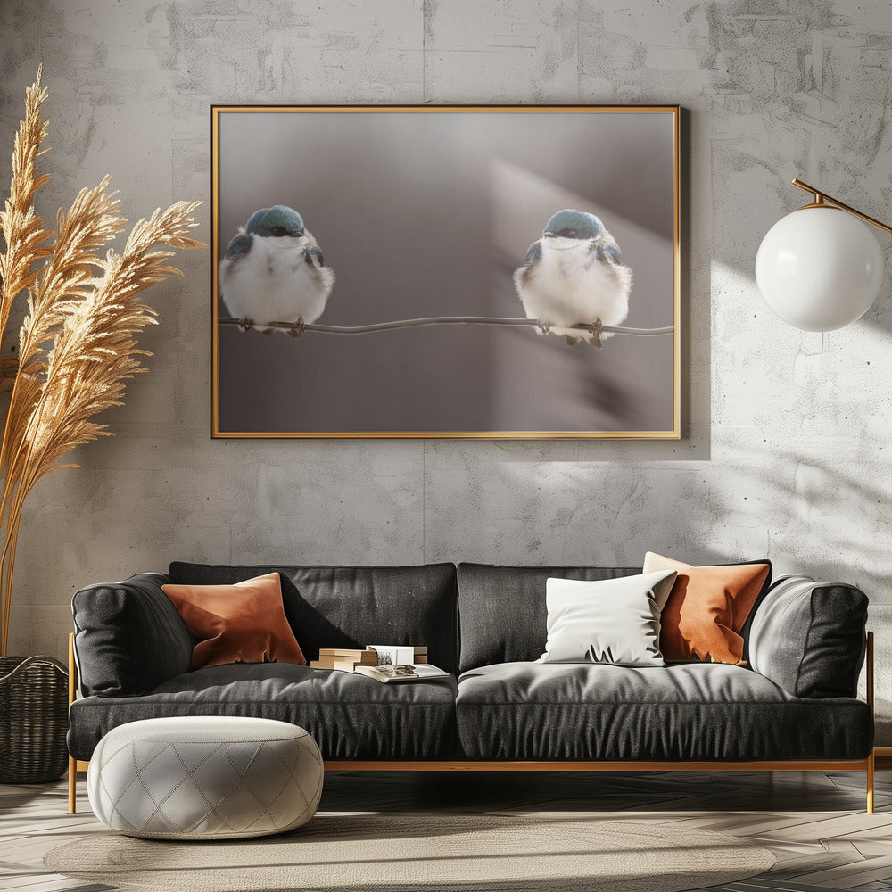 Pájaros en un alambre | Posters - Impresiones de Arte