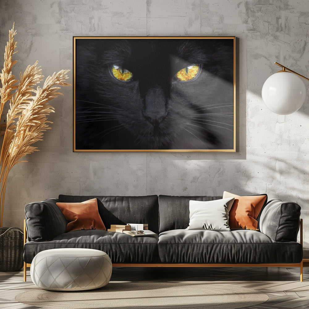 Nattens hypnotisör | Poster
