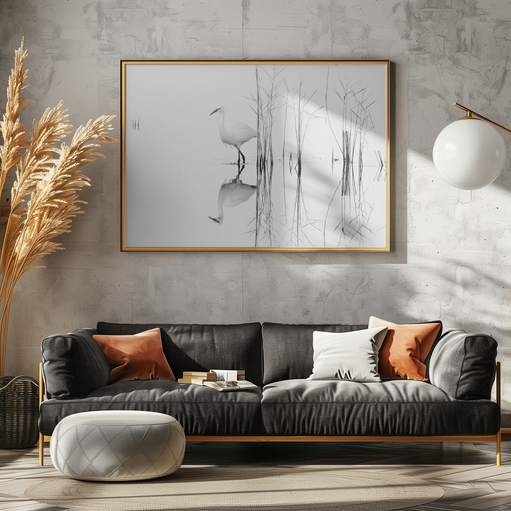 blanco | Posters - Impresiones de Arte