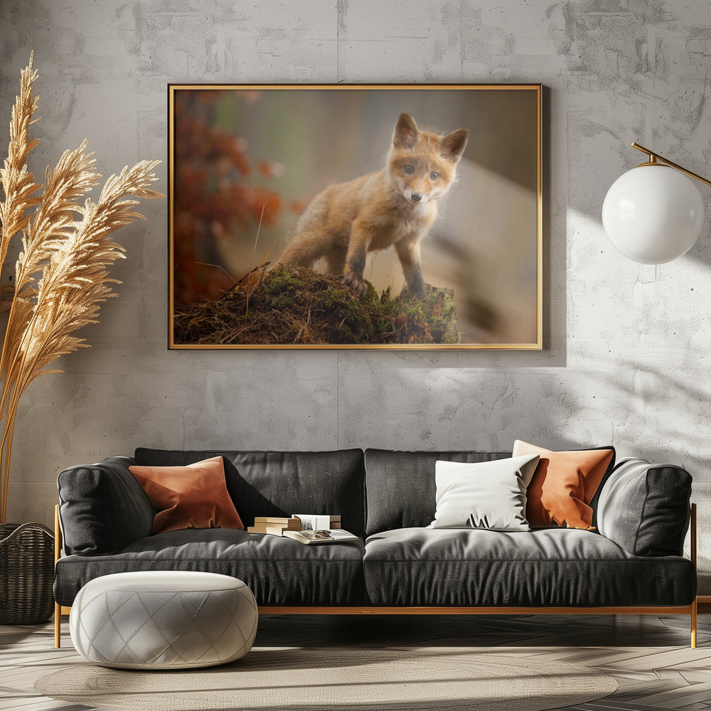 Zorro | Posters - Impresiones de Arte