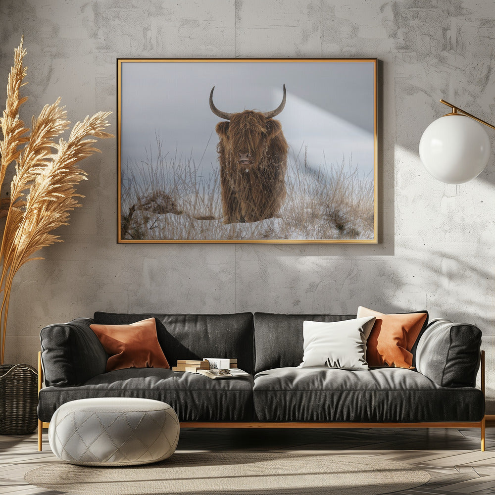 Highlander dans la neige | Posters - Affiche Artistique