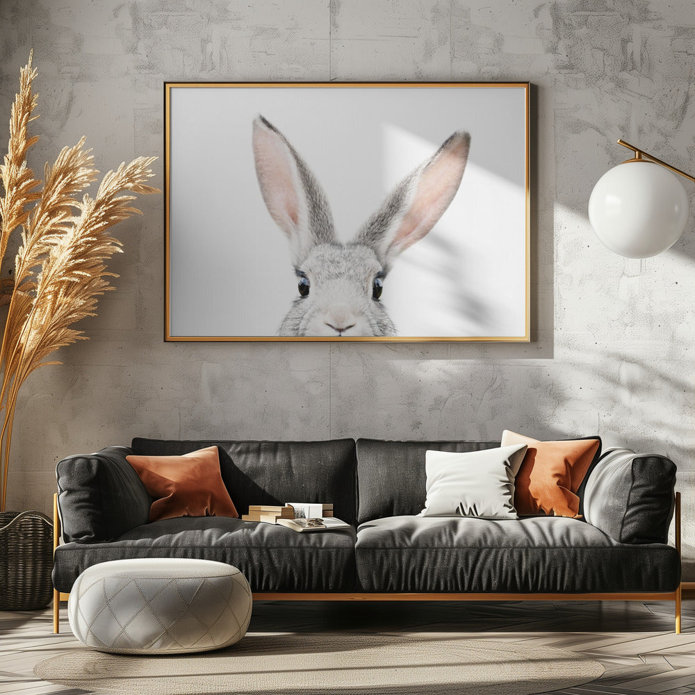 Peeking Bunny | Poster