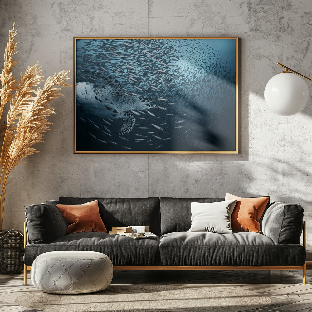 Courbure | Posters - Affiche Artistique