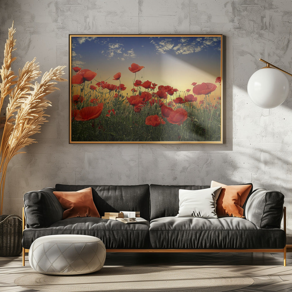 Mohnblumen | Poster - Kunstdruck
