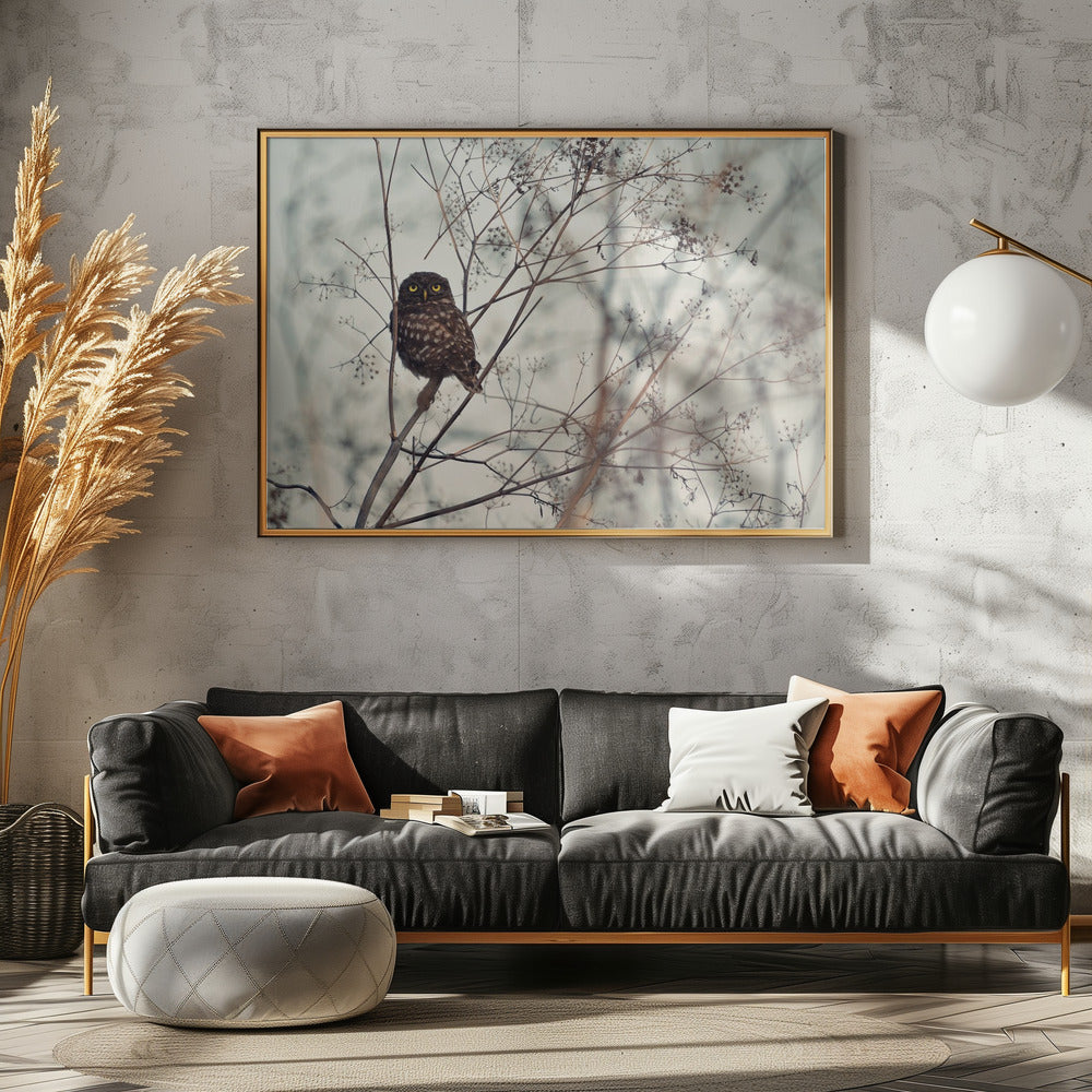 Schau mich an! | Poster - Kunstdruck