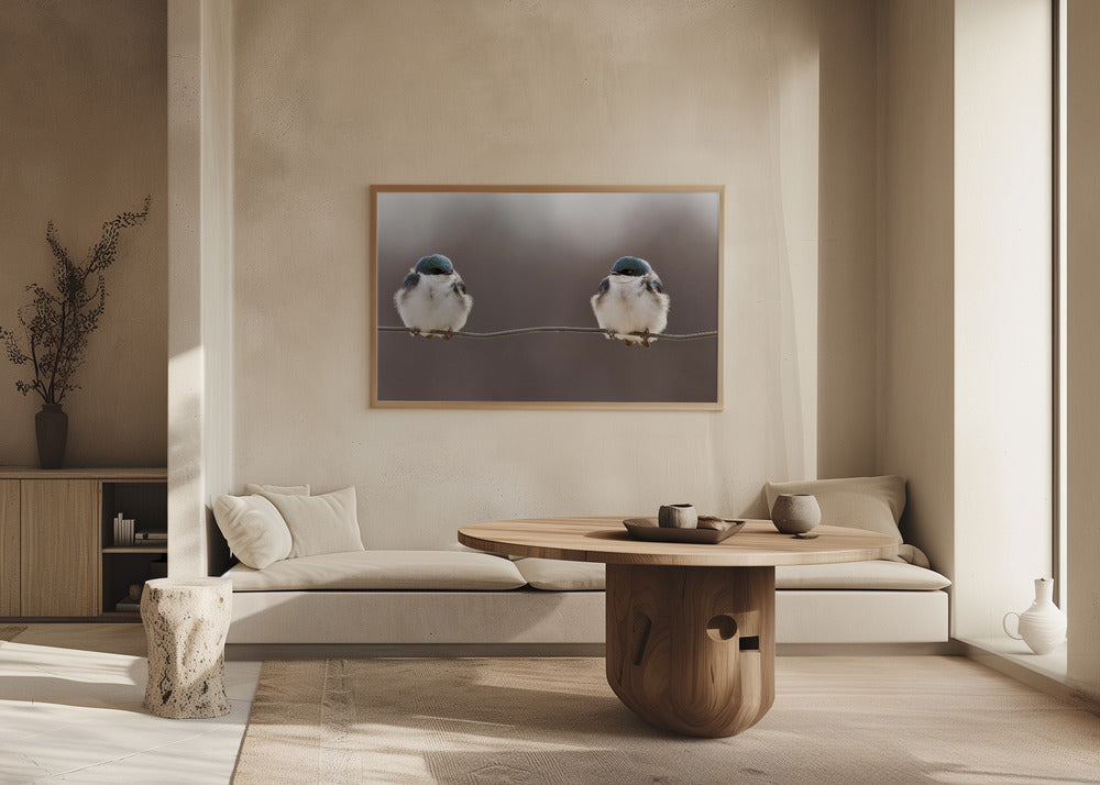 Pájaros en un alambre | Posters - Impresiones de Arte