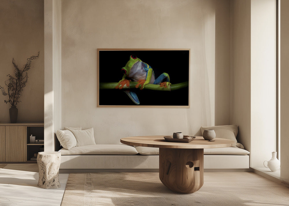 Curiosidad | Posters - Impresiones de Arte