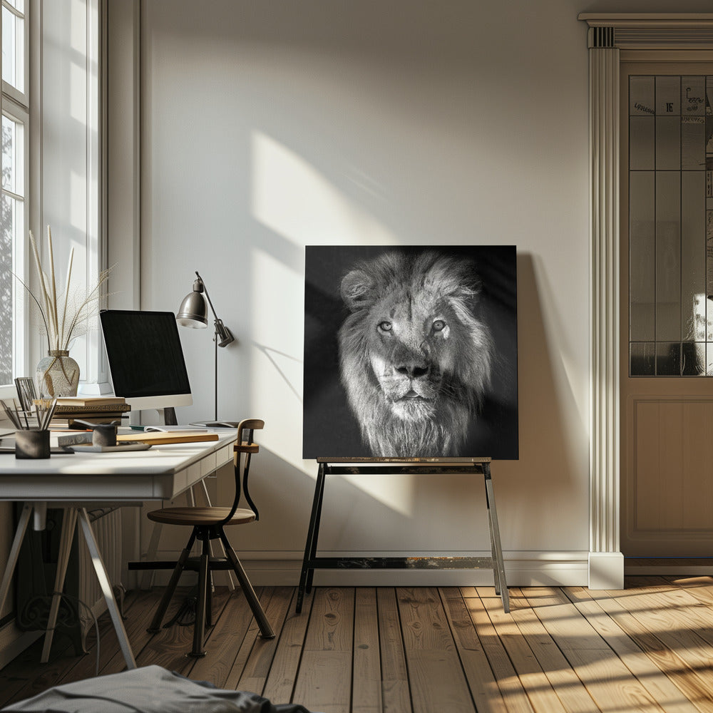 Portrait de lion-Panthera Leo | Tableaux sur Toile
