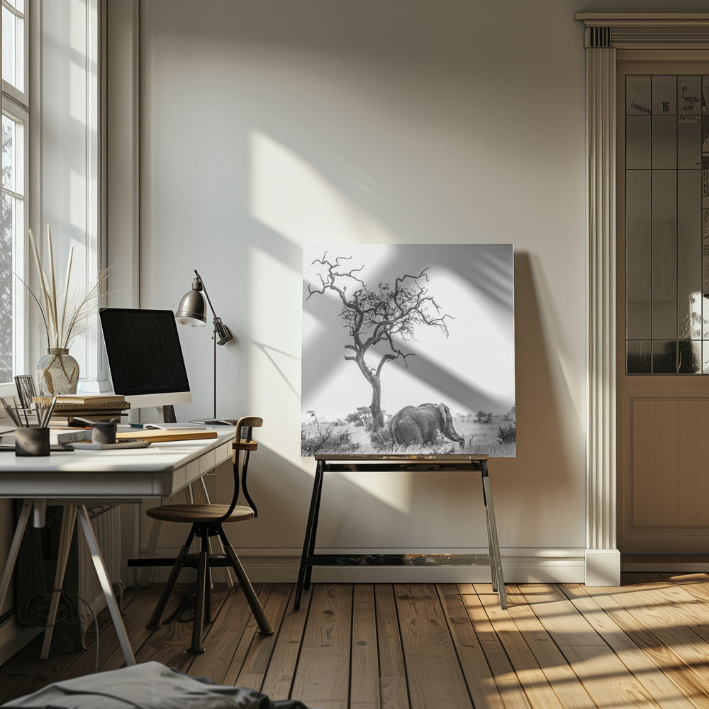 L'albero e l'elefante | Stampe su Tela