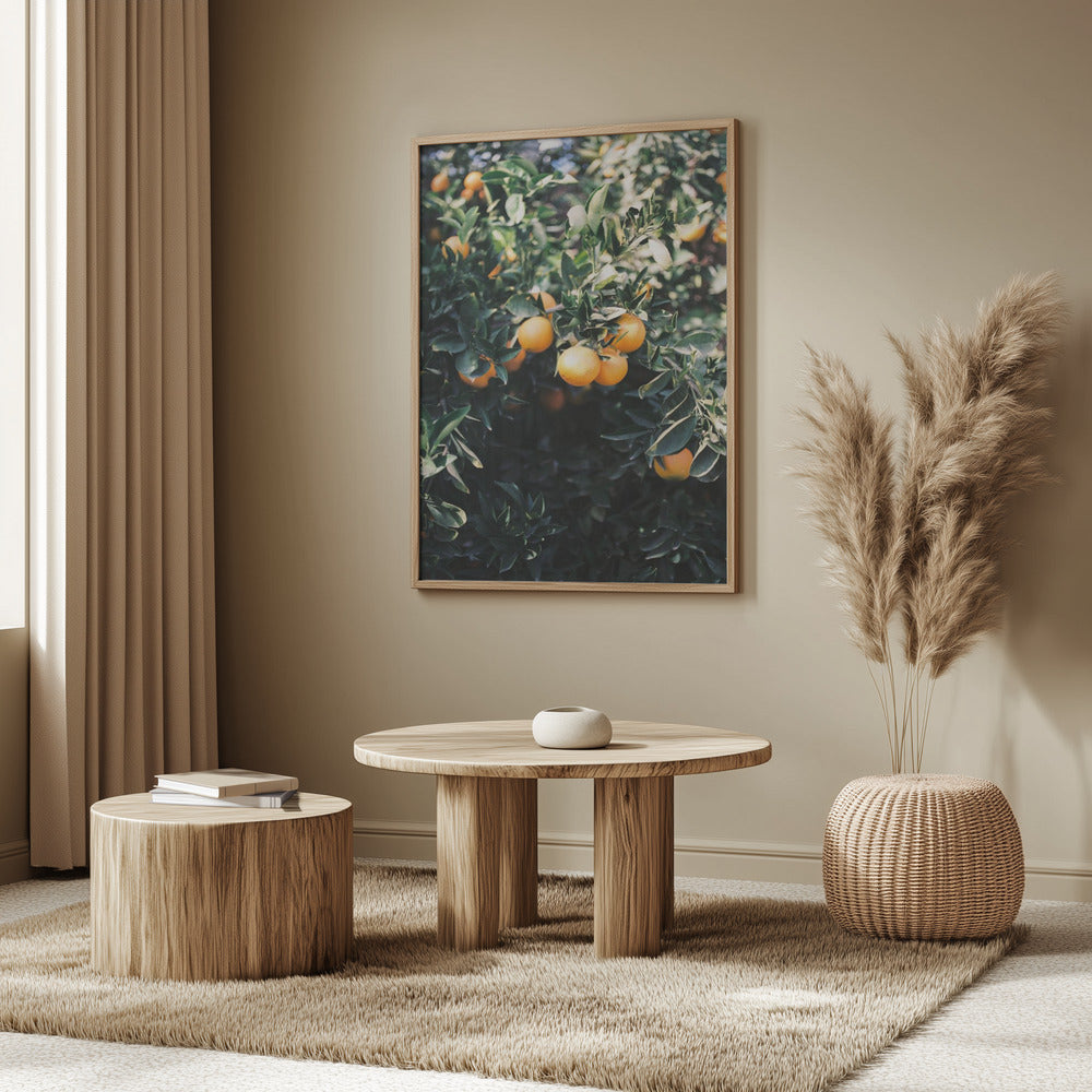 Arance di Marrakech | Poster - Stampe d’Arte