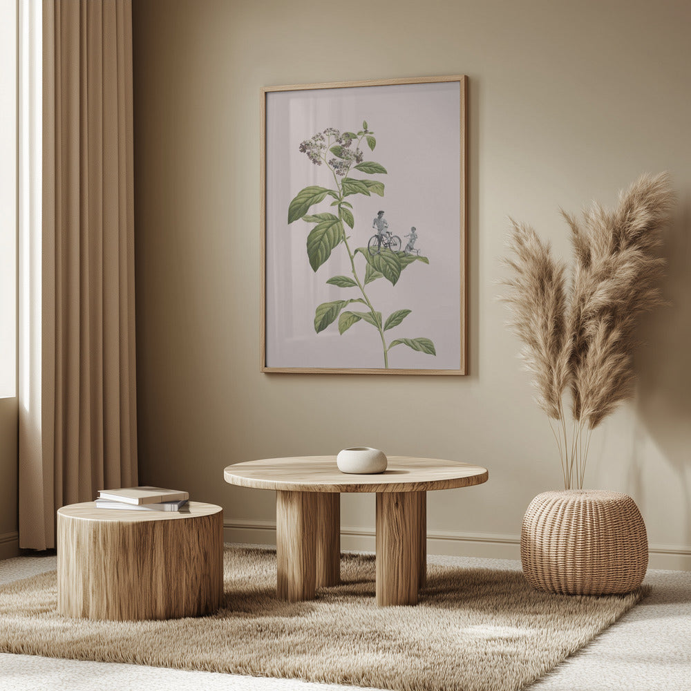 Botanisk cykling | Poster